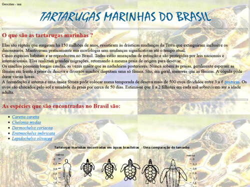 Tartarugas marinhas do Brasil